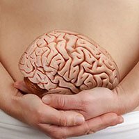 Estudos comprovam que o nosso intestino é considerado o nosso segundo cérebro. Quando ele não não funciona corretamente, você →